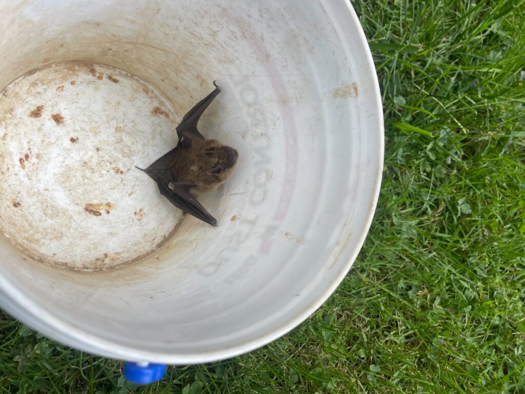 Spider Control Group LLC